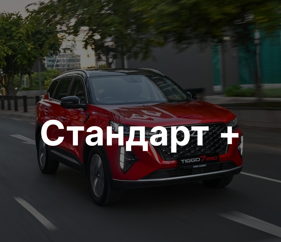 Стандарт +