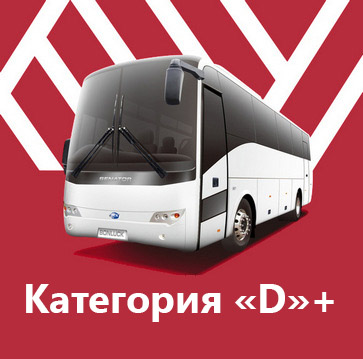 Пакет - Категория «D»+