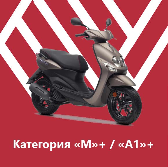 Пакет - Категория «M»+ / «A1»+